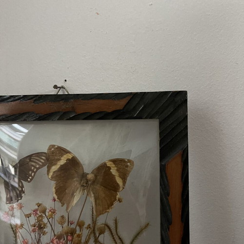 Vintage wooden frame with butterflies and dried flowers, antique wall art