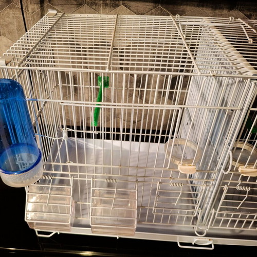Metal double bird cage 60×25×33 cm with feeders and perches