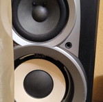 Technics speakers