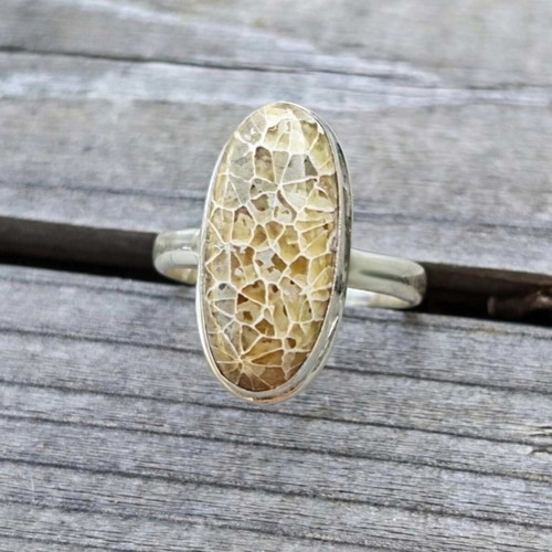 Silver ring with fossilized dinosaur bone new