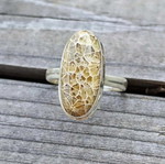 Silver ring with fossilized dinosaur bone new