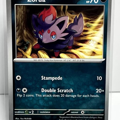 Zorua collectible Pokemon card new