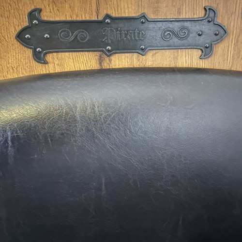 Cilek Limited Edition Pirate Bed with Mattress like new, storage space