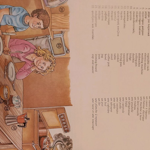 Trilexiko dictionary used, in very good condition