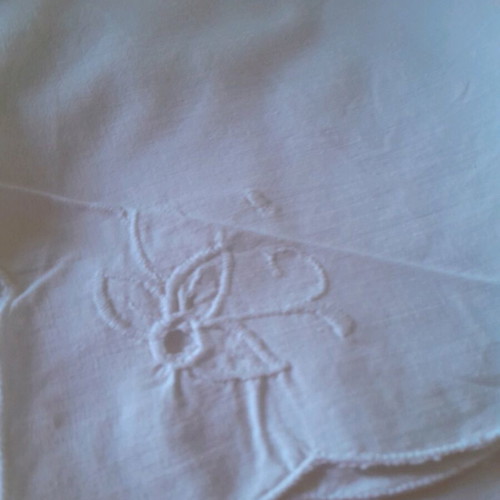 Napkins for food pack of 8 like new