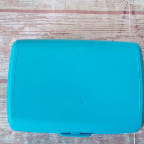 Children's lunch box curver Mickey love nature