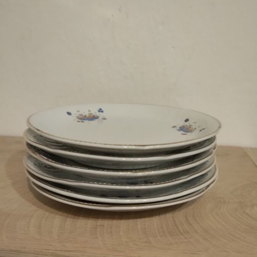 Dinner plates set of six like new, for fruit or snacks with forks
