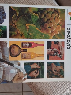 Viticulture book like new