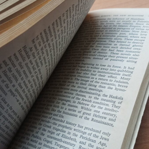 Jews God and History book like new from 1962