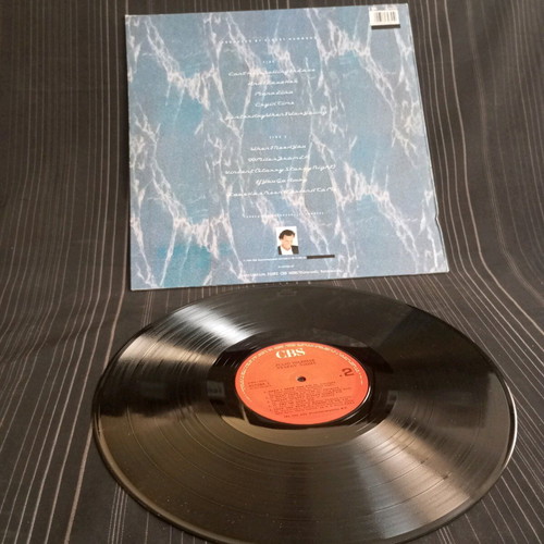 Julio Inglesias Starry Night vinyl like new V90