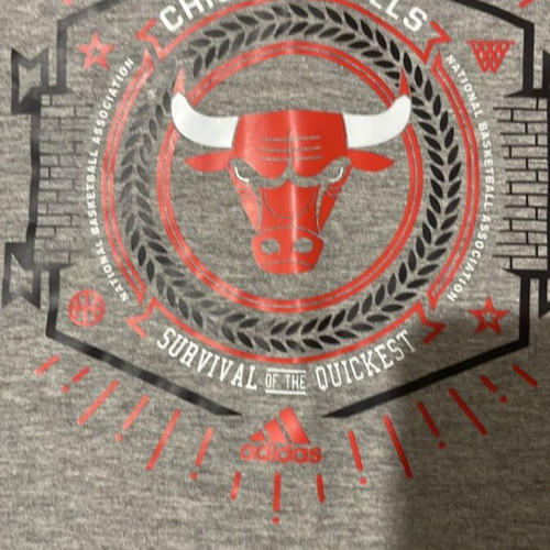 Adidas Chicago Bulls T-shirt new, size large