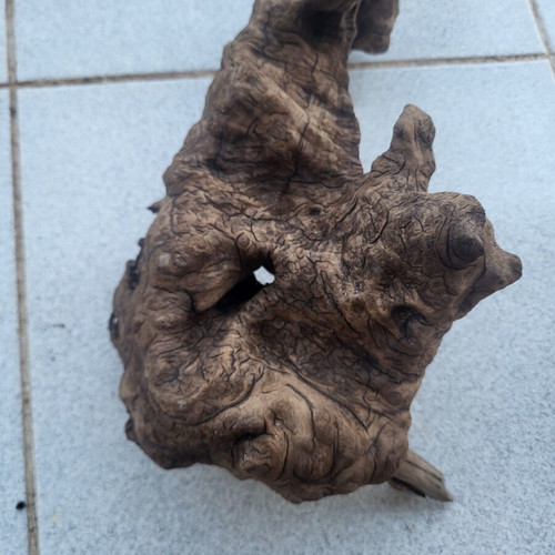 Aquarium driftwood used