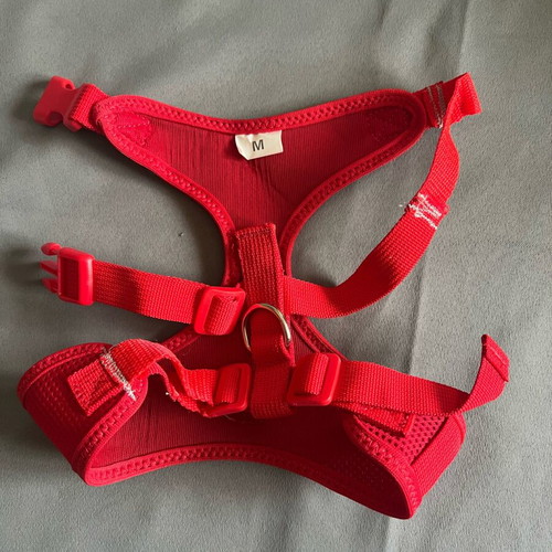 Camon dog harness size M new
