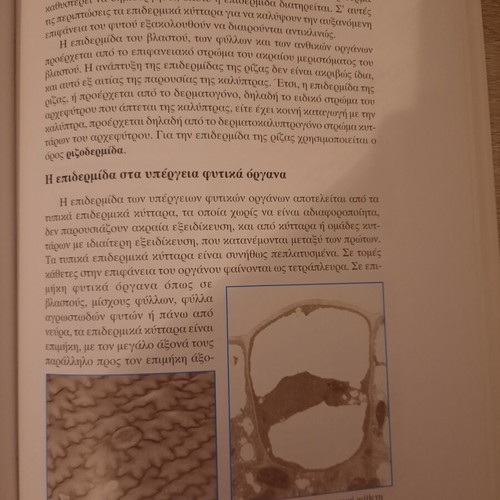 Plant Morphology Part I, University of Patras Publications