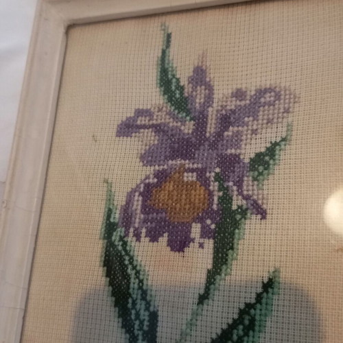Vintage handmade cross-stitch embroidery iris flower in white frame used