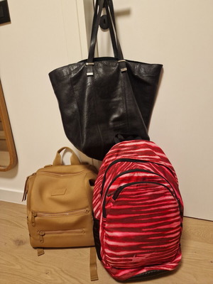 Dagne Dover Indi backpack, Nike zebra backpack, Uterque leather tote bundle