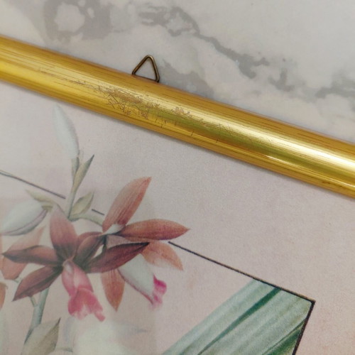Set of three botanical prints in gold wooden frames