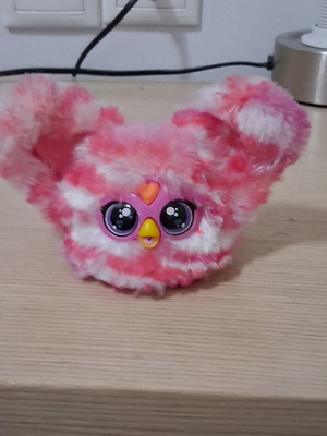 Teddy bear new