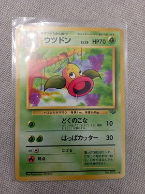 Pokemon cards new, first set