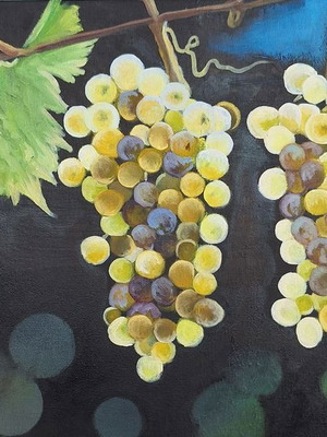 Grapes oil painting on canvas 30x40 cm new