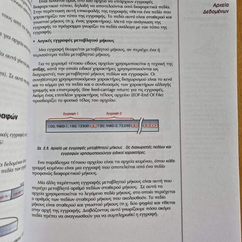 Shediasi kai Ylopoiisi Efarmogon book like new