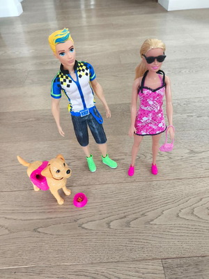Barbie swimmer doll set with accessories, dog and Ken like new