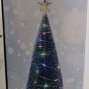 Illuminated Christmas Tree New