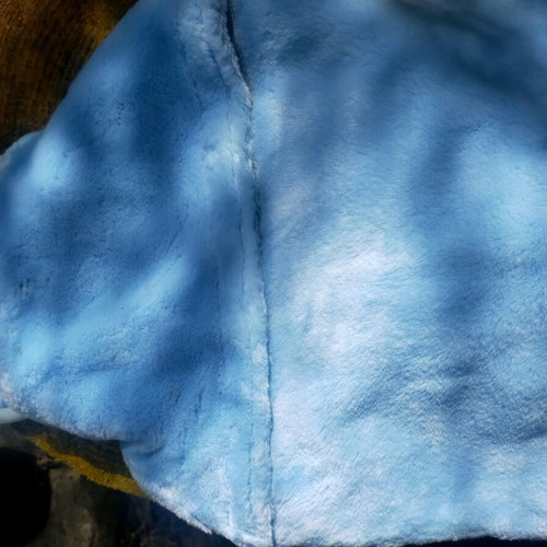 Blue bag Winnie the Pooh used