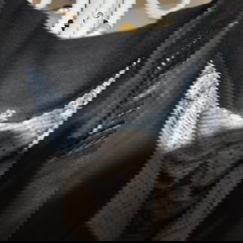 Δερμάτινο παντελόνι μοτοσυκλέτας μέγεθος 42 με φόδρα σαν καινούργιο