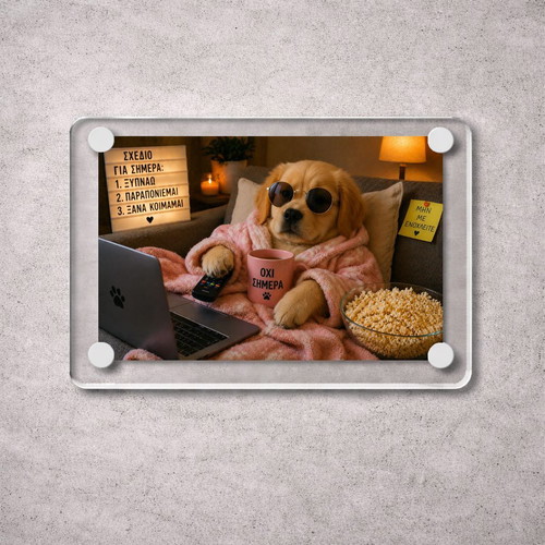 Acrylic fridge magnet "Not Today" new, Lazy Dog Meme 9x6cm