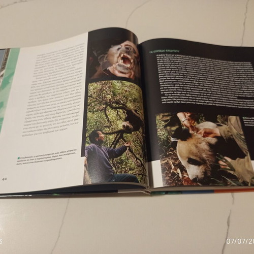 The Animal Encyclopedia Skai Book Volume 11 Used, Giant Panda and Endangered Species