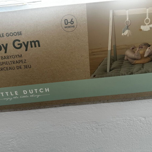 Baby Gym Little Dutch like new