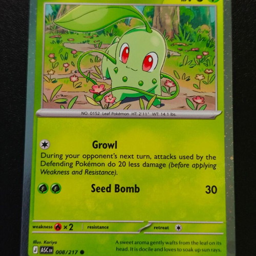 Pokemon Chikorita xASC 008 Cosmos Holo new from Ascended Heroes: Additionals 2026