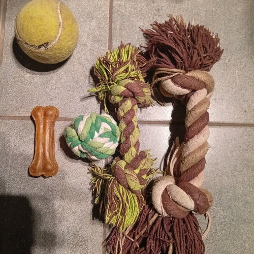 Pet toys used, green and brown