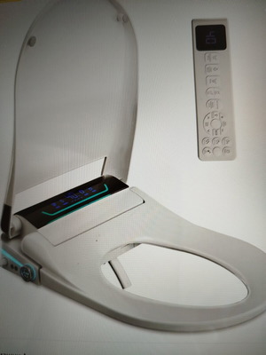 Smart toilet seat with bidet and heater