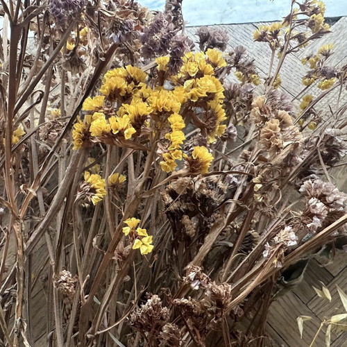 Dried flowers used