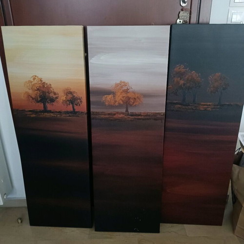 Canvas painting set of 3 pieces like new