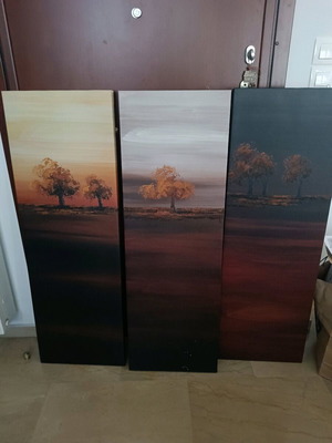 Canvas painting set of 3 pieces like new