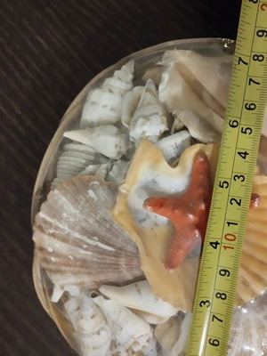 Basket with many seashells new, large
