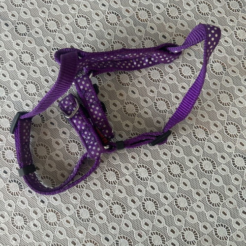 Dog muzzle, harness and collar like new