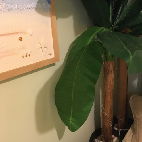 Artificial banana plant used, height 1.80 m