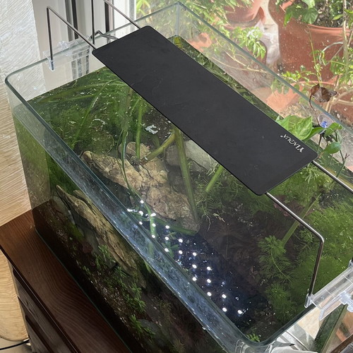 YiAqua full-spectrum aquarium fish tank light