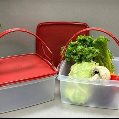 Tupperware square picnic container 4L new