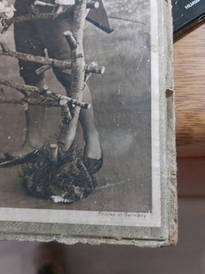 Rare lithograph before 1900 used condition