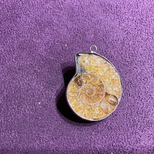 Ammonite pendant new