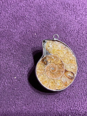 Ammonite pendant new
