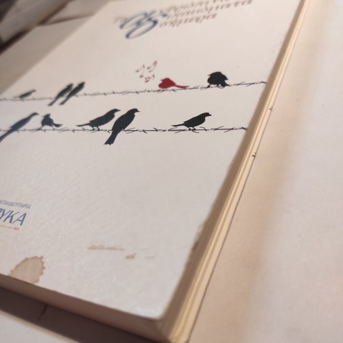 Human Rights Today book like new