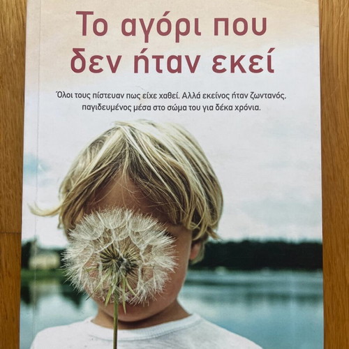 The Boy Who Wasn't There novel like new