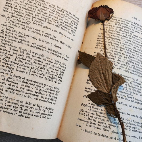 Resurrection Tolstoy used book