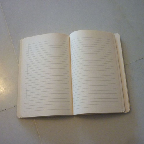 Vincent van Gogh notebook new collectible